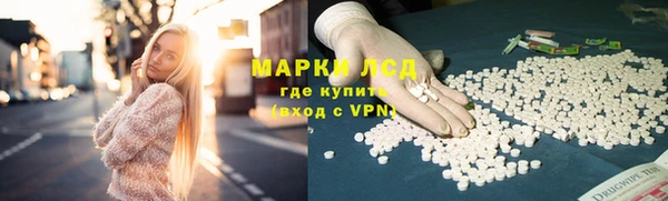 прущие грибы Балабаново