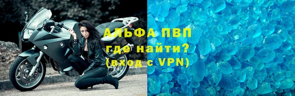 прущие грибы Балабаново