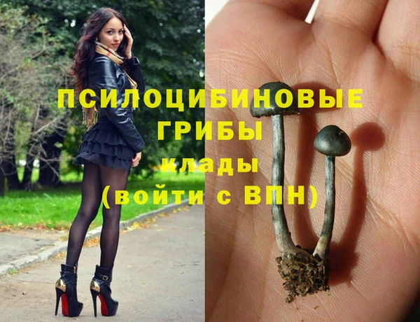 прущие грибы Балабаново