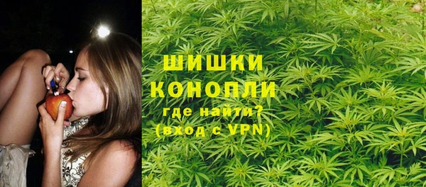прущие грибы Балабаново