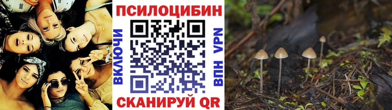 Галлюциногенные грибы GOLDEN TEACHER  Шелехов 